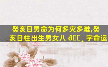 癸亥日男命为何多灾多难,癸亥日柱出生男女八 🕸 字命运